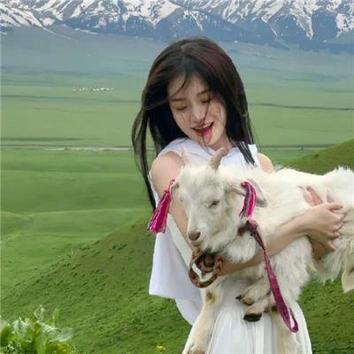 摩斯拉对哥吉拉在线观看